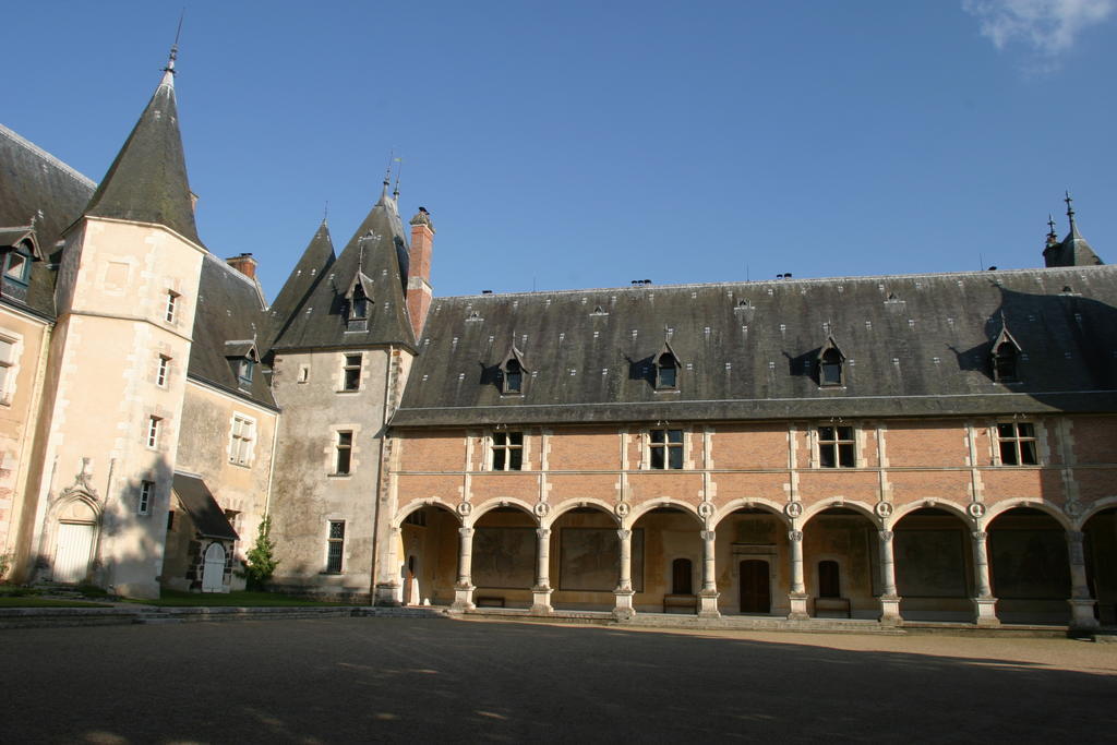 Hôtel Chateau De La Verrerie à Aubigny-sur-Nère Extérieur photo