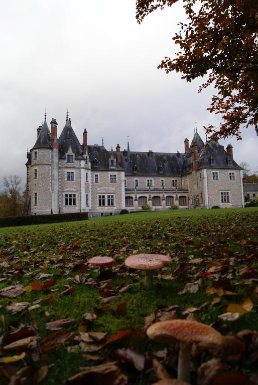 Hôtel Chateau De La Verrerie à Aubigny-sur-Nère Extérieur photo