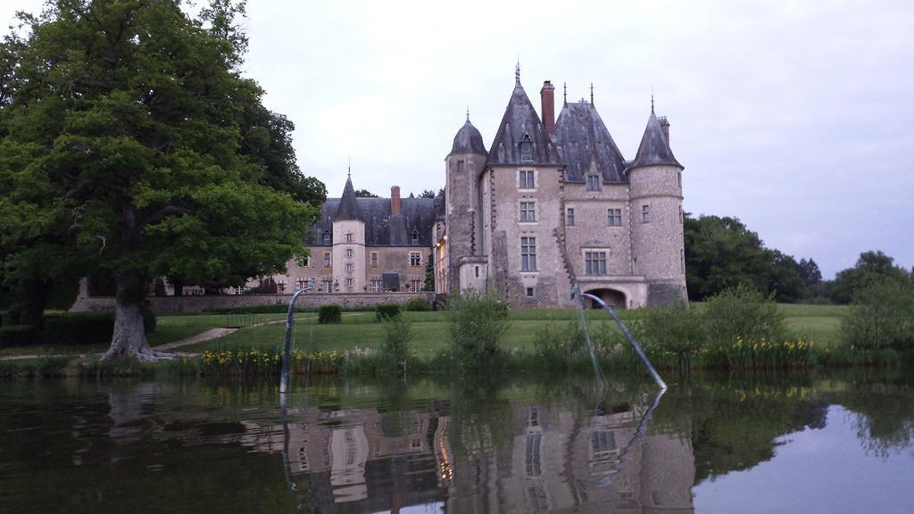 Hôtel Chateau De La Verrerie à Aubigny-sur-Nère Extérieur photo