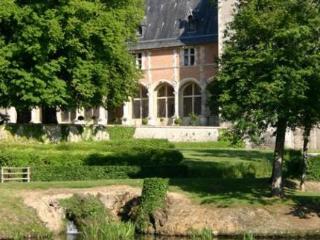 Hôtel Chateau De La Verrerie à Aubigny-sur-Nère Extérieur photo