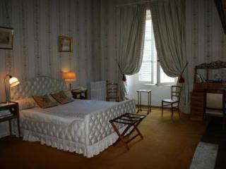 Hôtel Chateau De La Verrerie à Aubigny-sur-Nère Extérieur photo